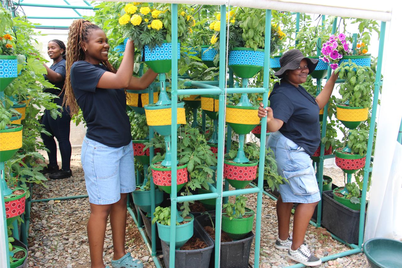 Agripreneurs at the BBR garden